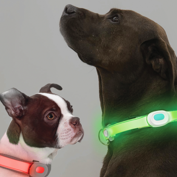 DOG COLLAR – Bild 4