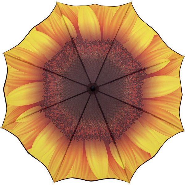 STOCKSCHIRM SONNENBLUME – Bild 2